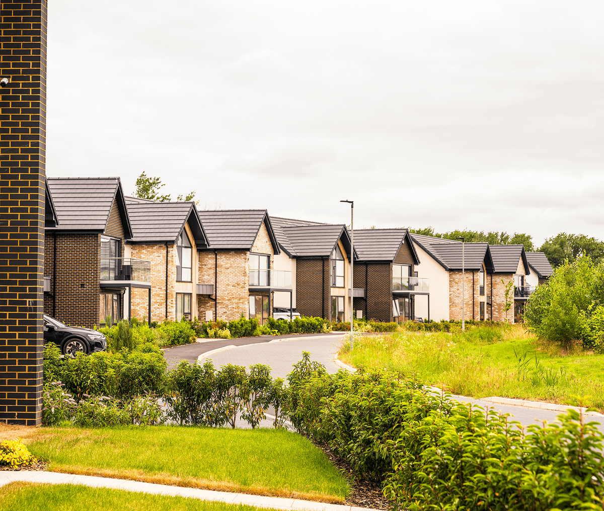 Modern suburban houses with greenery